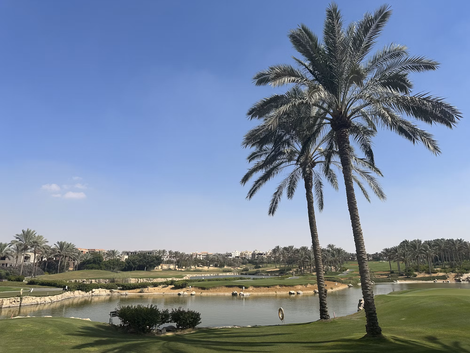 Exploring the World of Golf Equipment: A Comprehensive Guide